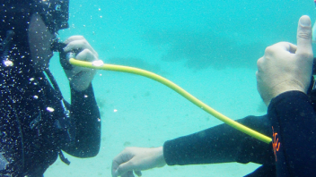 PADI Open Water Diver, hacer buceo en Tarifa, buceo barbate