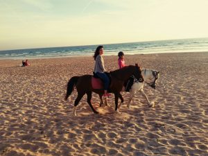 paseos a caballo, paseos a caballo en tarifa, paseos a caballo en zahara de los atunes